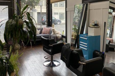 Friendly Beauty Collective in Heart of Mission District